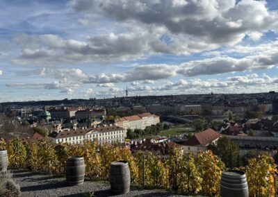 Heiraten in Prag mit Panorama